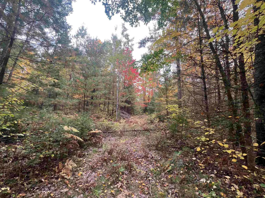 Old 38 Road, Amberg, WI 54102 - #2