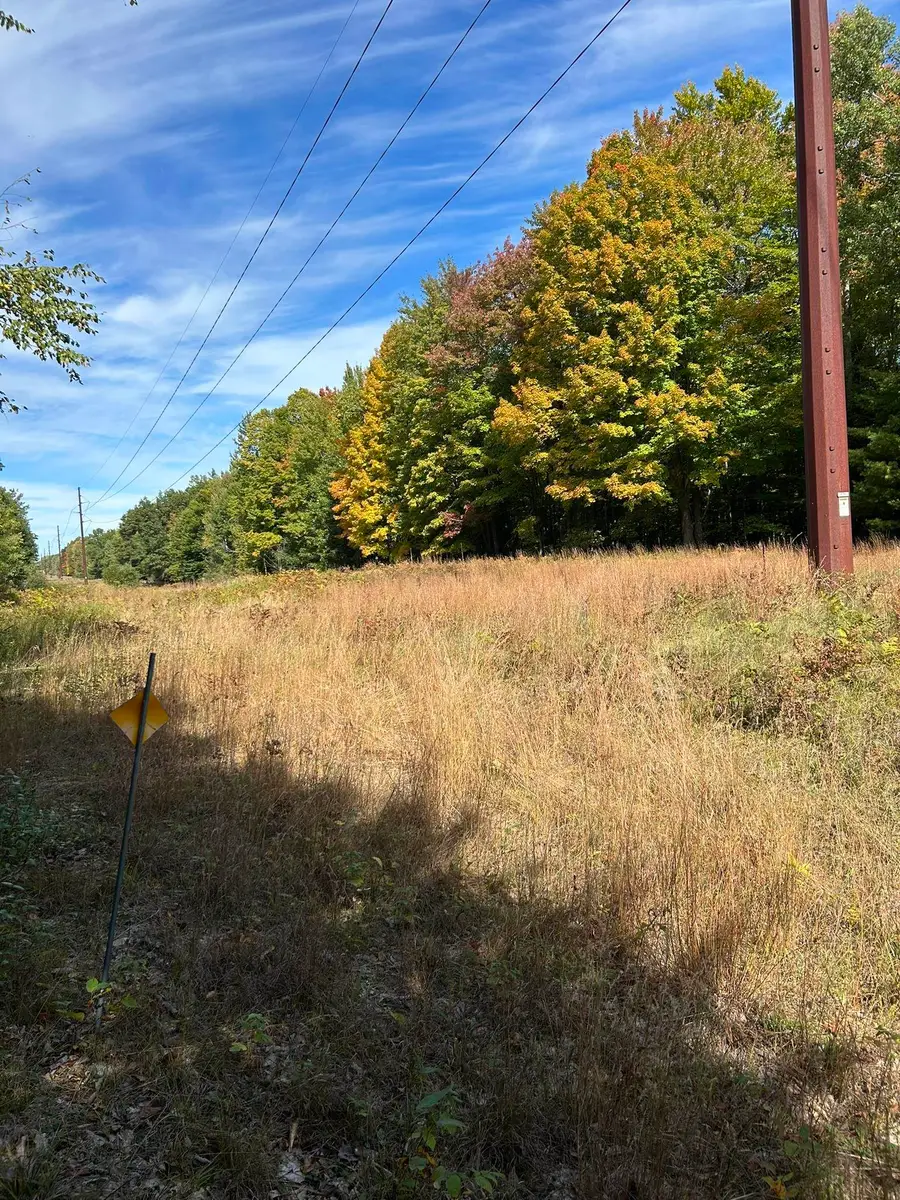 Grand Rapids Road, Wausaukee, WI 54177 - #3