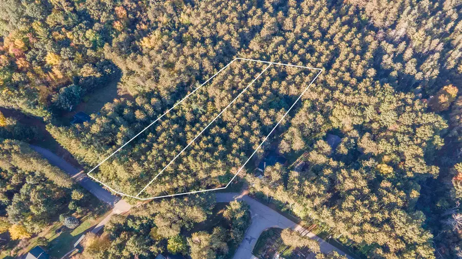 N Wilson Lake Road, Wild Rose, WI 54984 - #2