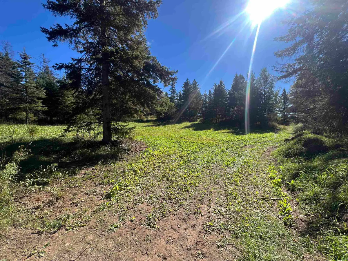 Badish Road, Daggett, MI 49821 - #1