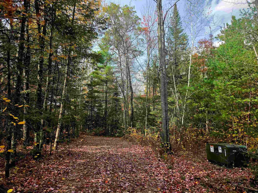 N17755 Lily Lake Road, Dunbar, WI 54119 - #3