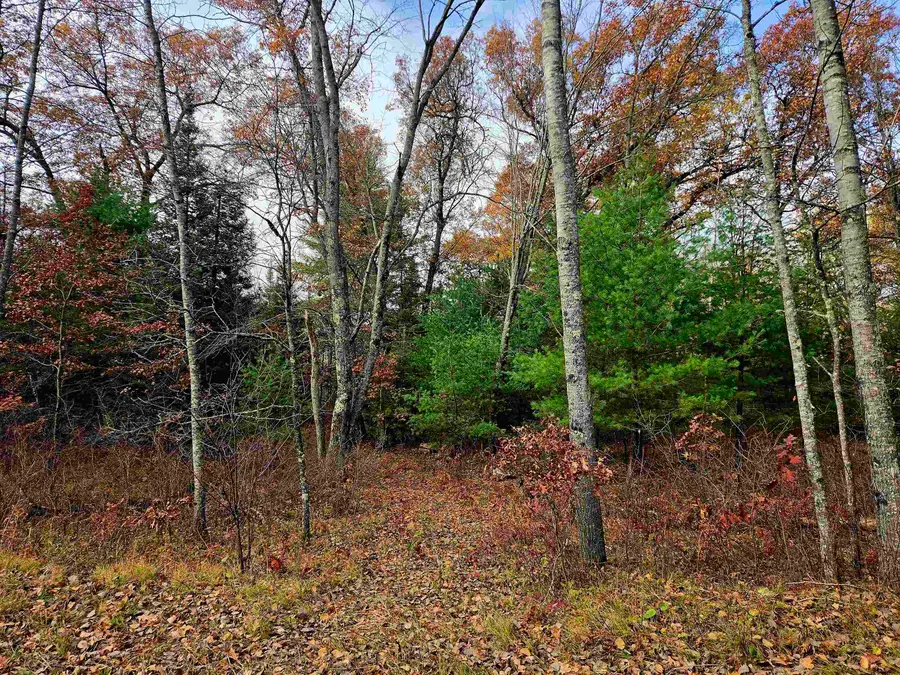 Lily Lake Road #6, Dunbar, WI 54119 - #2