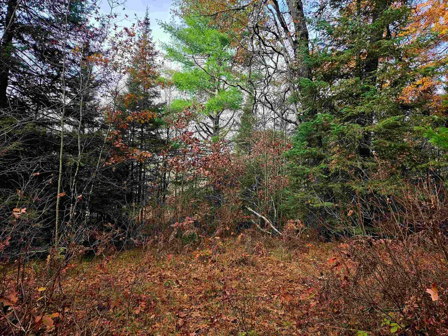 Lily Lake Road #6, Dunbar, WI 54119 - #3