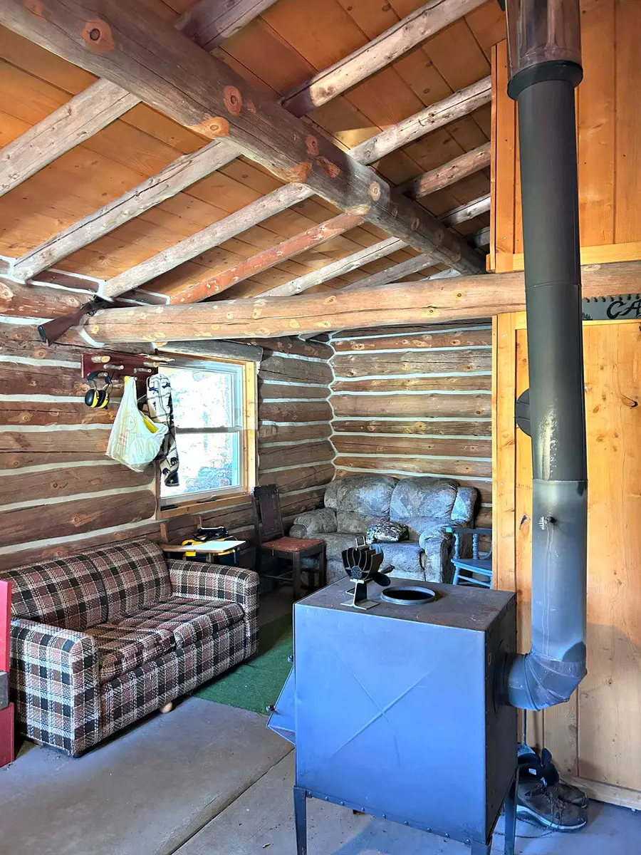 4849 Fig Road, Republic, MI 49879 - #3