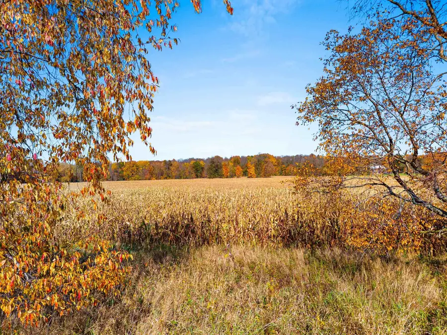 Evergreen Road, Marion, WI 54950 - #2