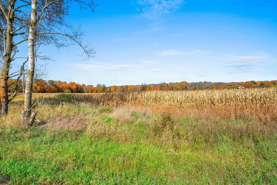 Evergreen Road, Marion, WI 54950 - #3