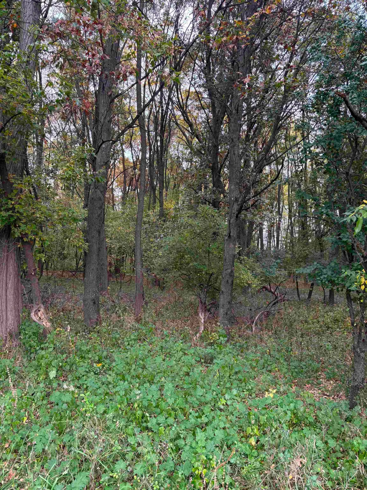 Bowling Lane, Waupaca, WI 54981 - #1