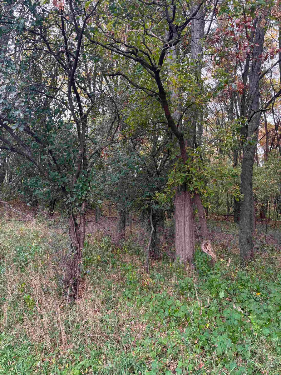 Bowling Lane, Waupaca, WI 54981 - #2