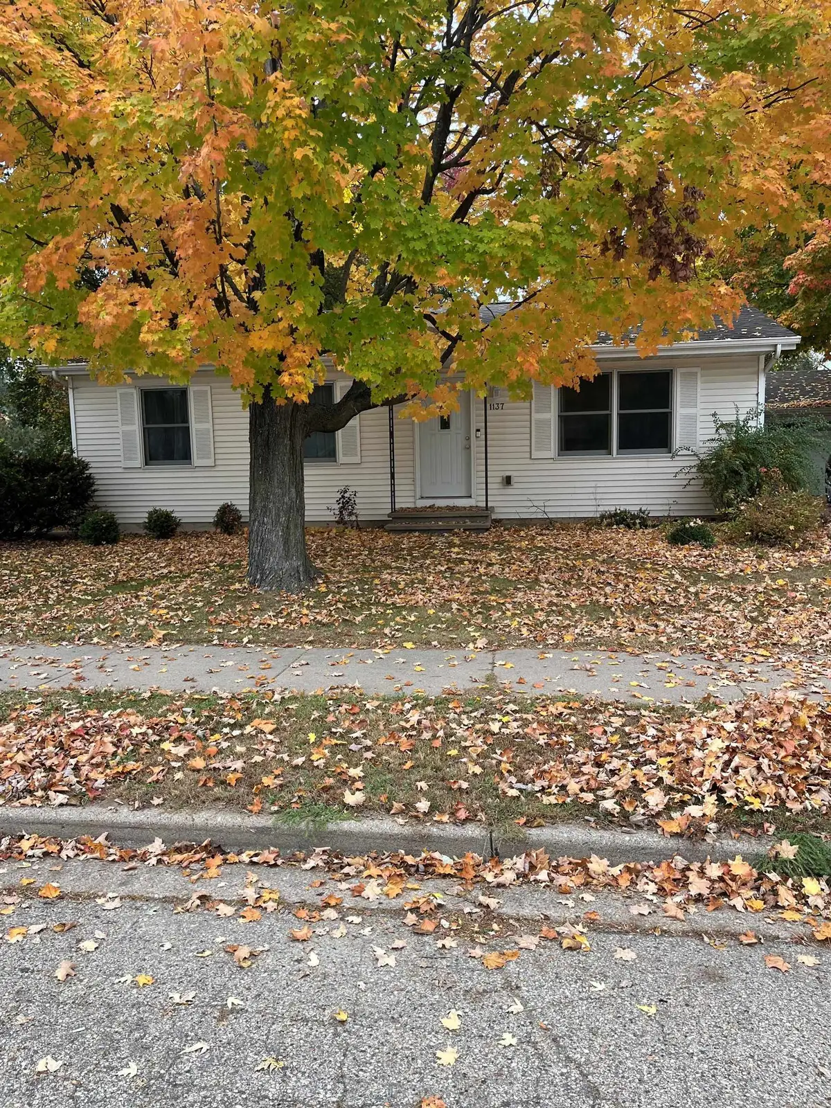 1137 E Clarke Street, Waupaca, WI 54981 - #1