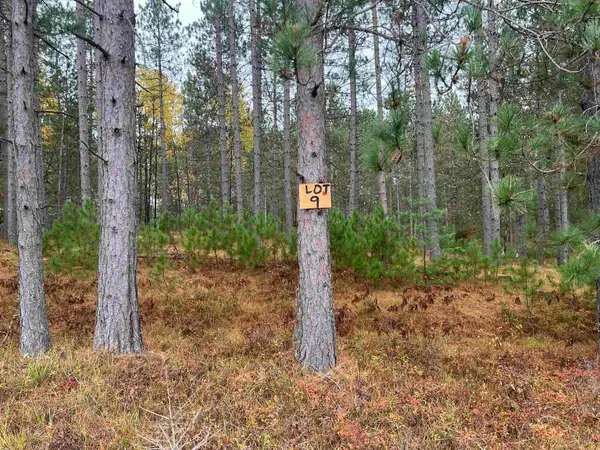 Trout Haven Road #9, DUNBAR, WI 54119