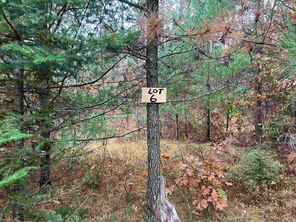 Trout Haven Road #6, DUNBAR, WI 54119