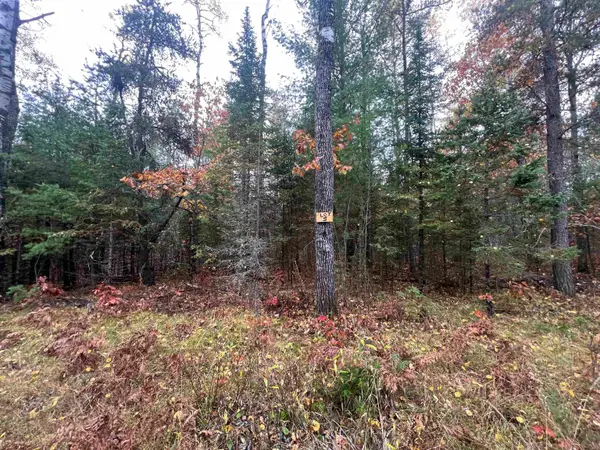 Trout Haven Road #5, DUNBAR, WI 54119