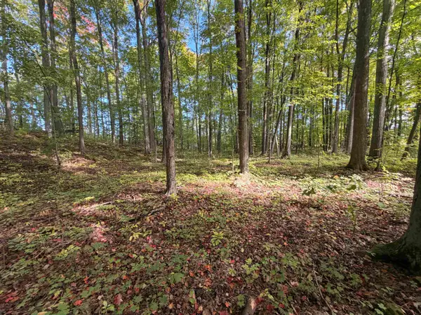 Knollwood Drive, STURGEON BAY, WI 54235