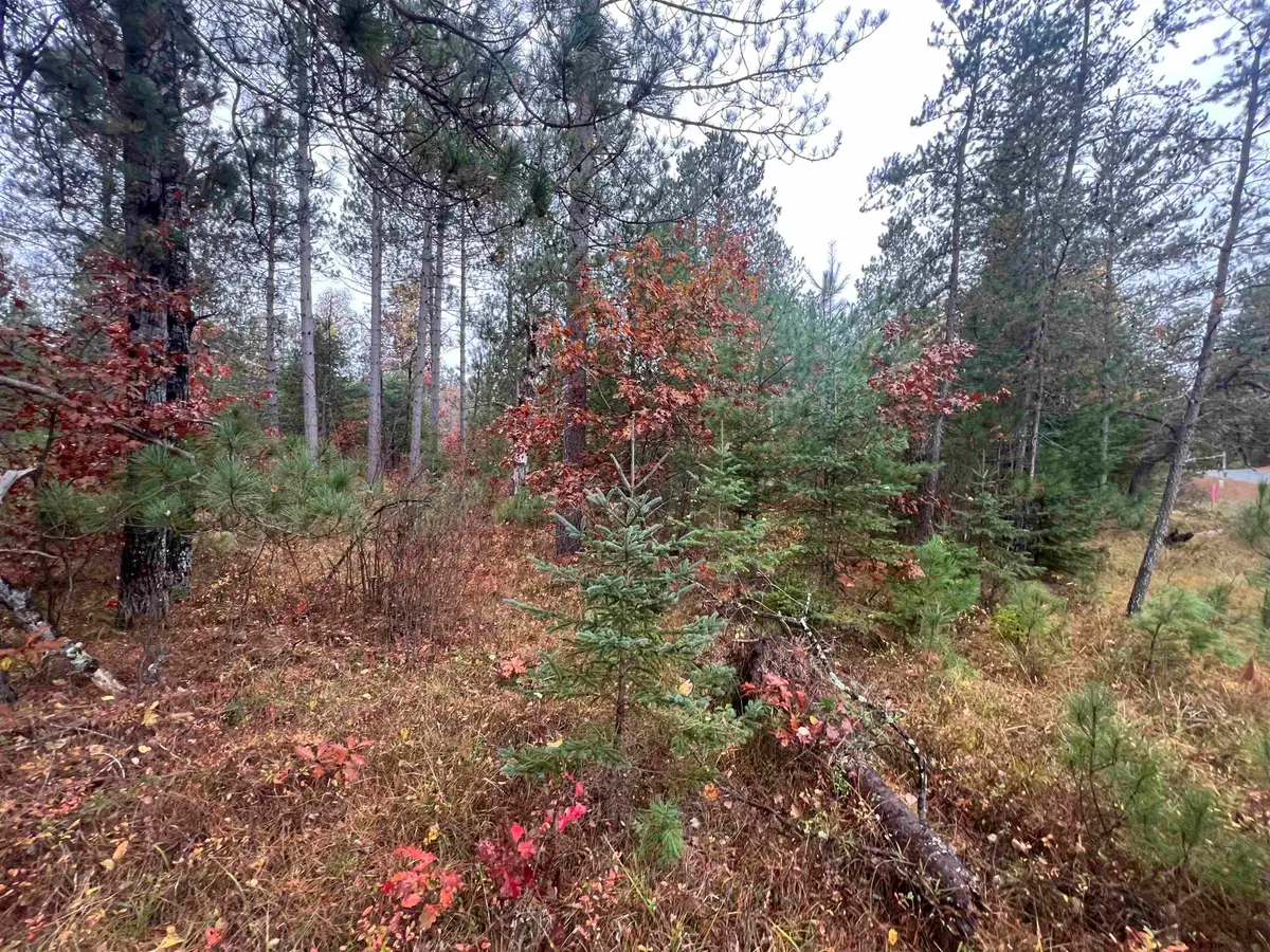 Trout Haven Road #3, Dunbar, WI 54119 - #1