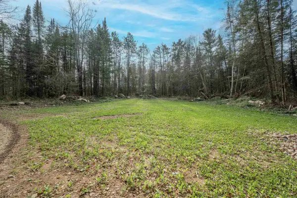 W16788 Balsam Road, TIGERTON, WI 54486-9032