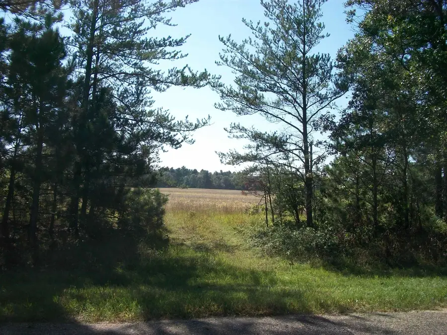 38 acres 18th St, Necedah, WI 54646 - Image #2