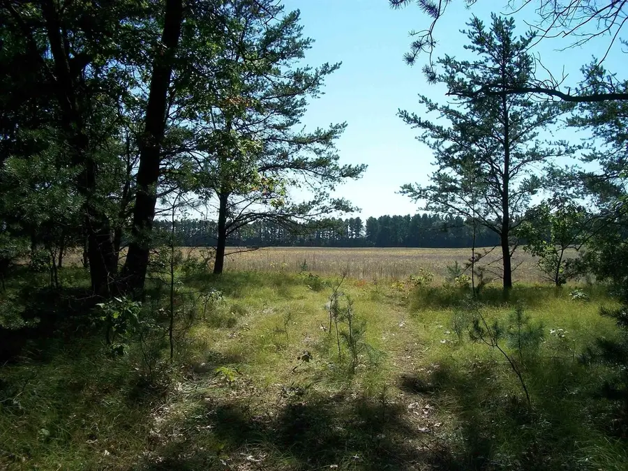 38 acres 18th St, Necedah, WI 54646 - Image #3