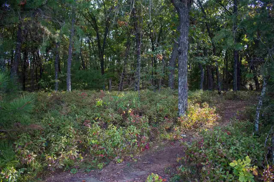 N7151 Timber Ridge Lane, Mauston, WI 53948 - Image #3