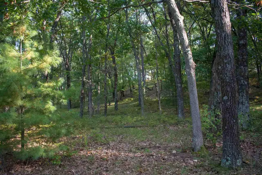 N7137 Timber Ridge Lane, Mauston, WI 53948 - Image #3