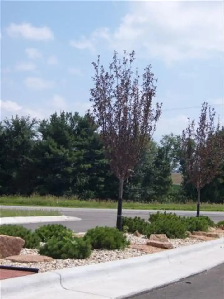 3171 Lymans Run, Sun Prairie, WI 53590 - Image #2