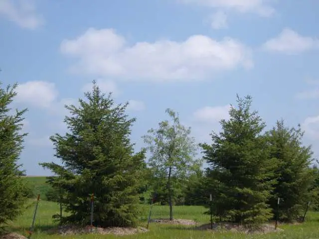 3171 Lymans Run, Sun Prairie, WI 53590 - Image #3