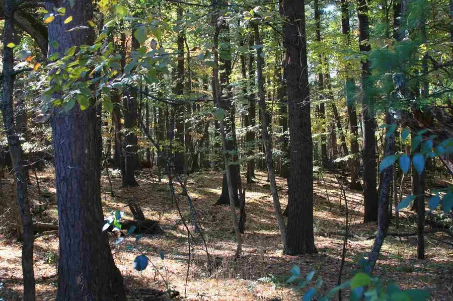 507 Clara Avenue, Wisconsin Dells, WI 53965 - Image #2