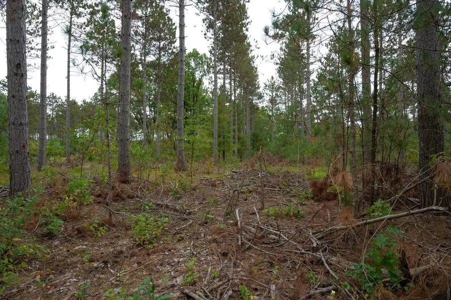 Lot 2 Bollig Court, Nekoosa, WI 54457 - Image #2