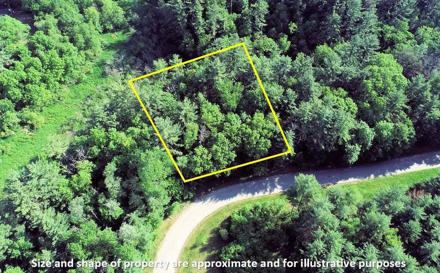 L11 Orrin Anderson Pass, Wisconsin Dells, WI 53965 - Image #2