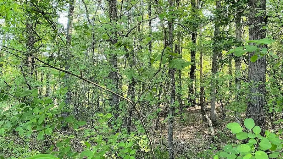 L11 Orrin Anderson Pass, Wisconsin Dells, WI 53965 - Image #3