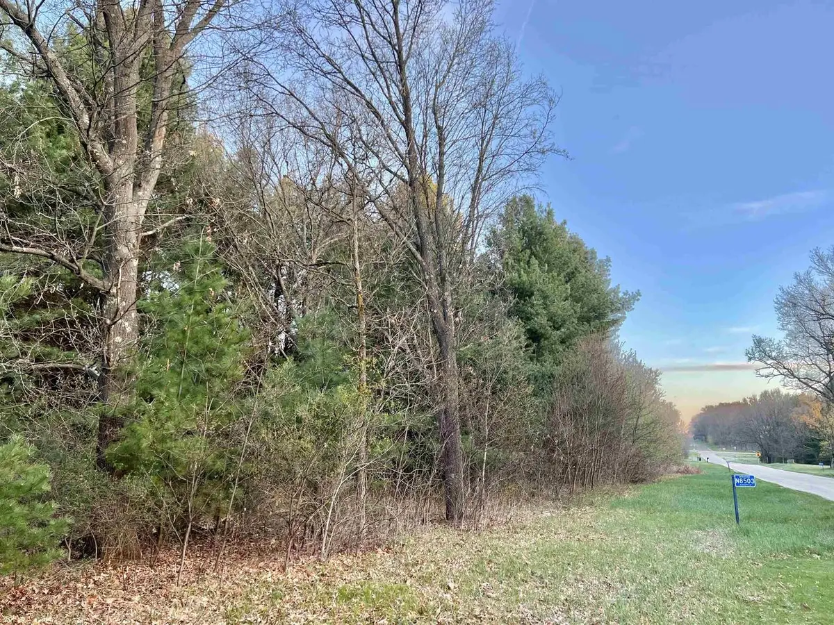N8503 County Road N, Neshkoro, WI 54960 - Image #1