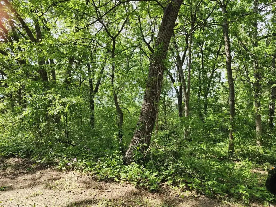 Gingers Drive, Muscoda, WI 53573 - Image #3