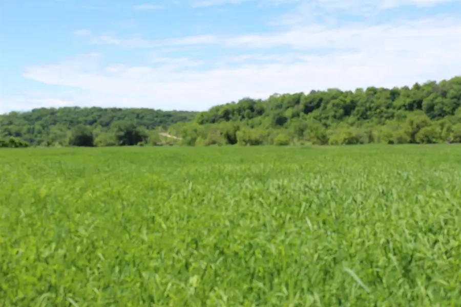 3954 Oak Road, Potosi, WI 53820 - Image #2