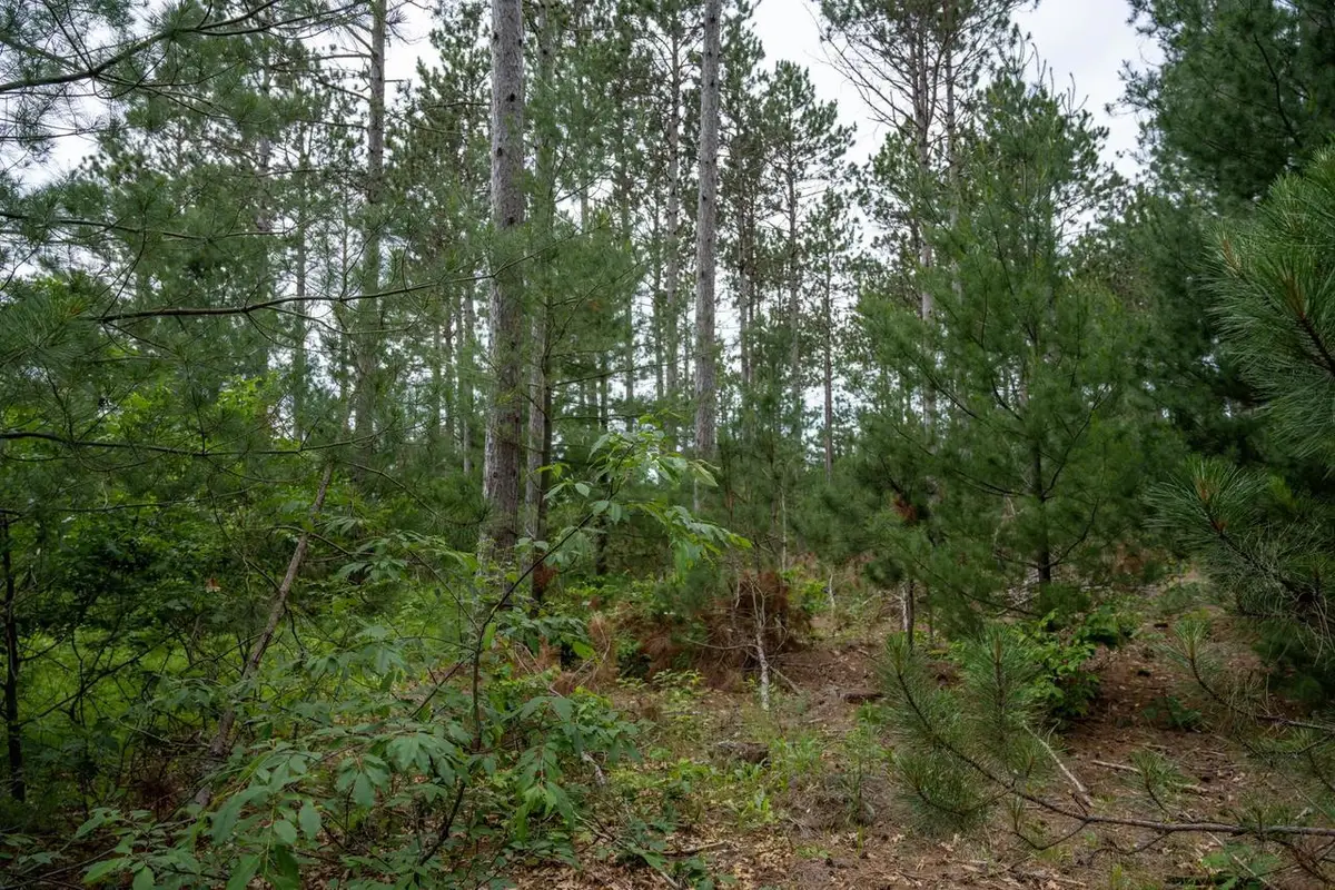 Lot 1 Bollig Court, Nekoosa, WI 54457 - Image #1