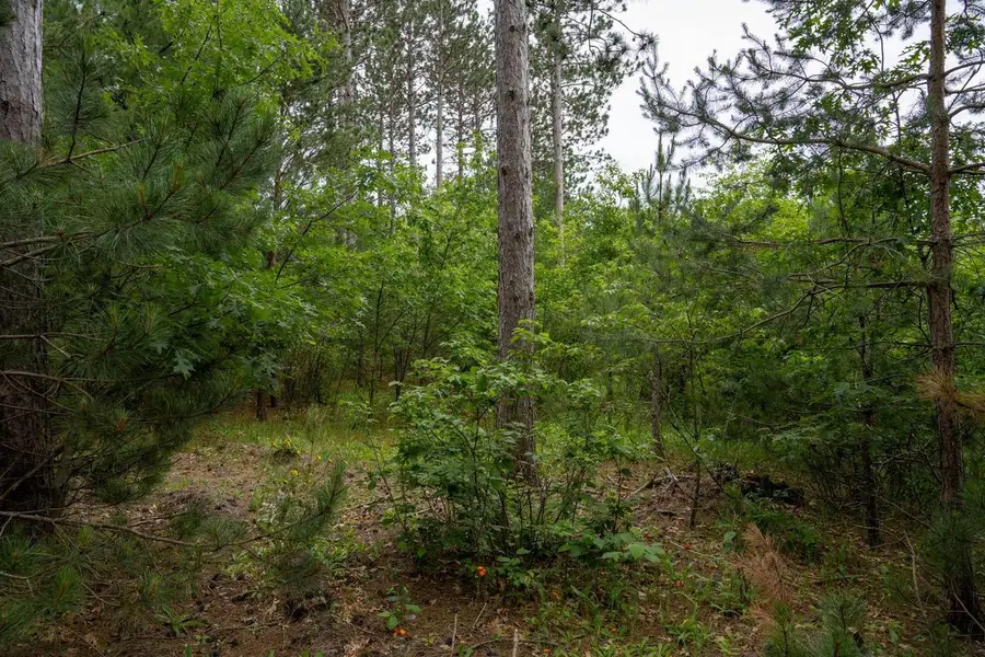 Lot 1 Bollig Court, Nekoosa, WI 54457 - Image #2