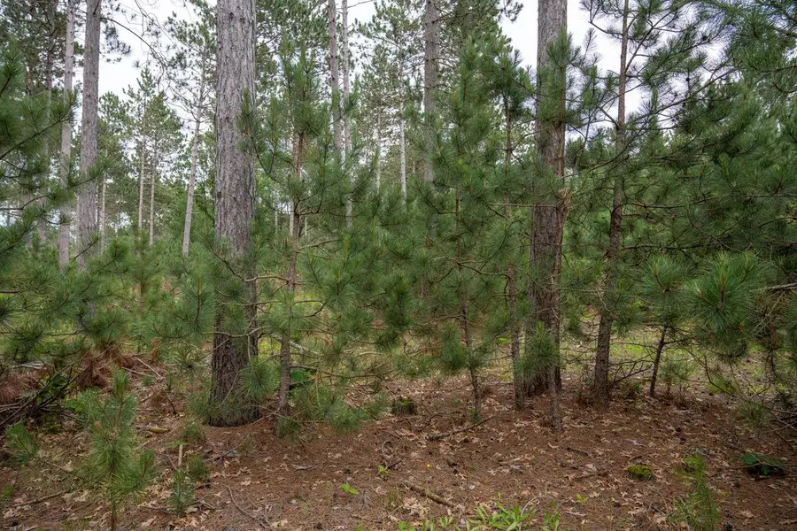 Lot 1 Bollig Court, Nekoosa, WI 54457 - Image #3