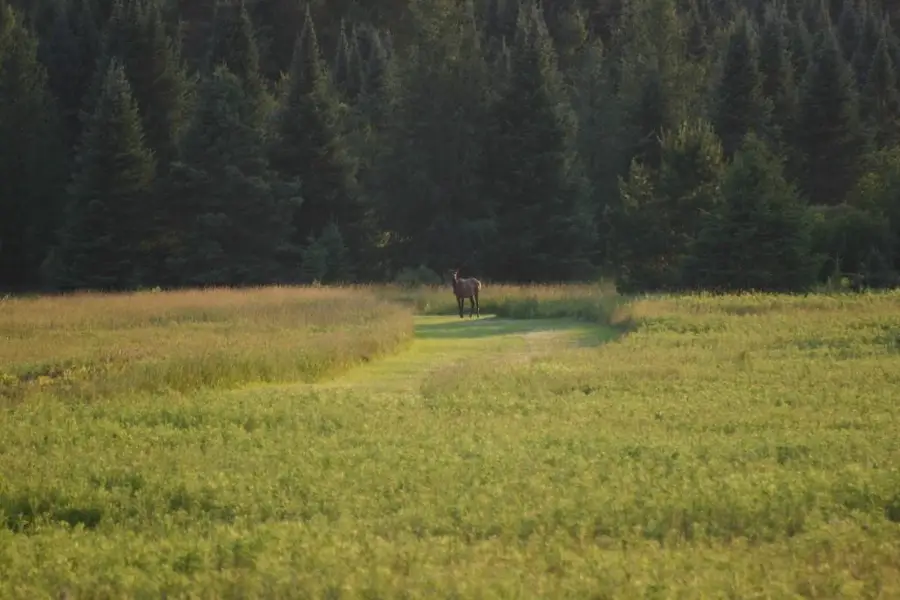 12279 Stangle Road, Butternut, WI 54514 - Image #2