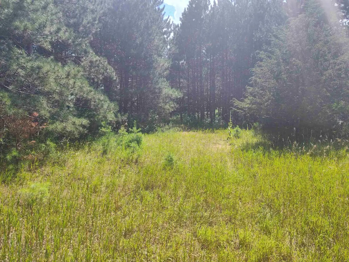 Lot 114 County Road Z, Arkdale, WI 54613 - Image #1