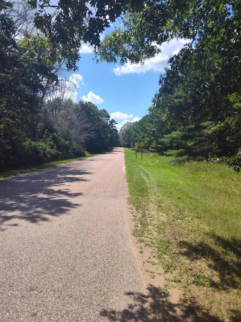 Lot 113 Beaver Lane, Arkdale, WI 54613 - Image #3