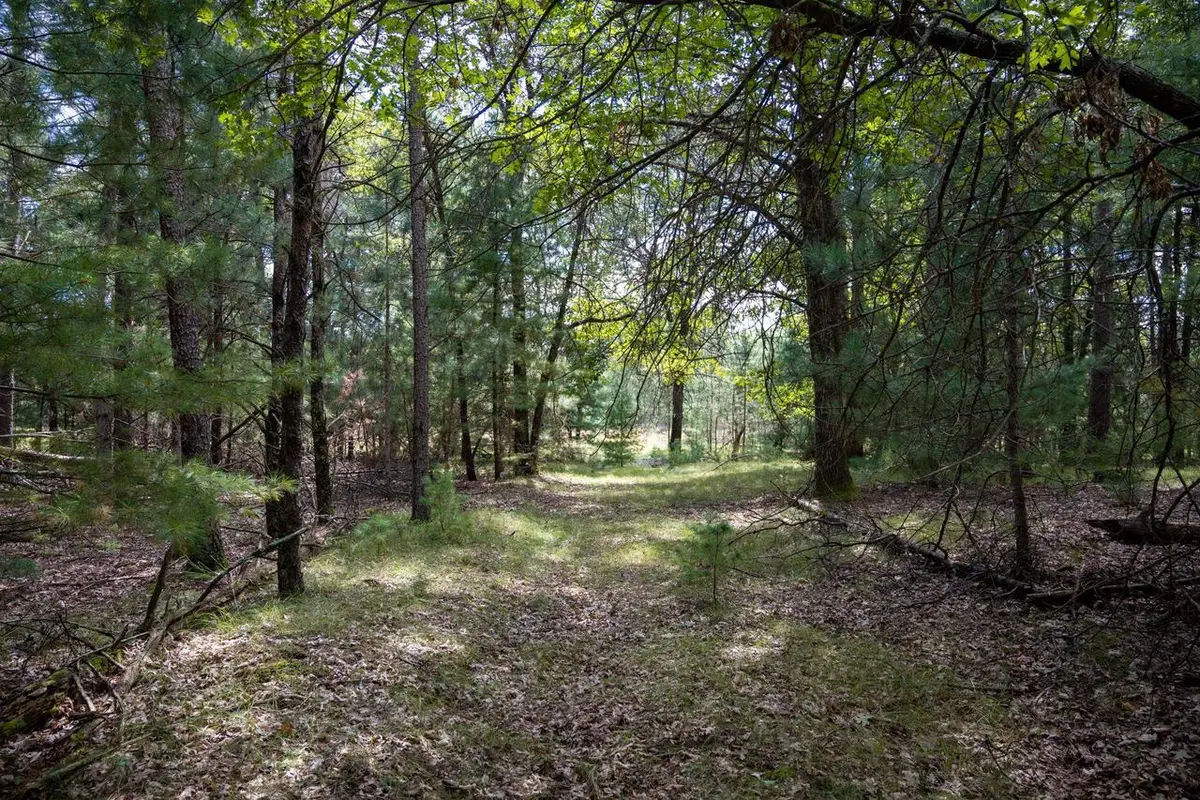 Lot 4 Meadow Drive, New Lisbon, WI 53950 - Image #1
