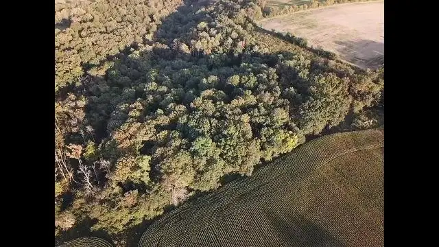 17303 County Road T, Boscobel, WI 53805 - Image #2