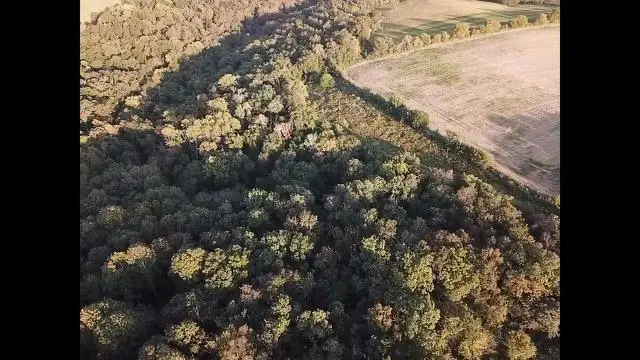 17303 County Road T, Boscobel, WI 53805 - Image #3