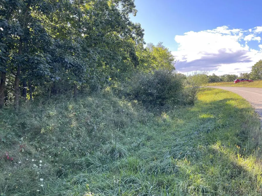 L115 Staghorn Black Forest Drive, La Valle, WI 53941 - Image #3