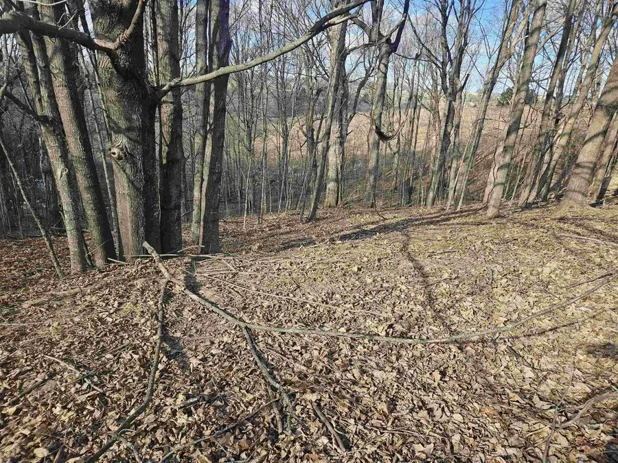 lot 954 Hidden Springs Court, La Valle, WI 53941 - Image #3