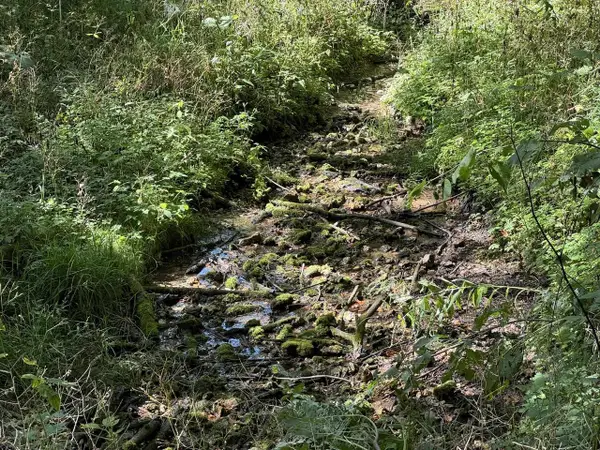 Lot 10 Murphy Road, Mineral Point, WI 53565