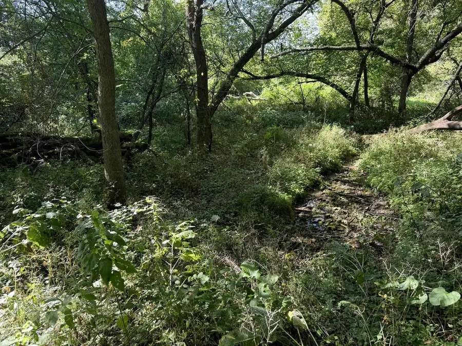Lot 10 Murphy Road, Mineral Point, WI 53565 - Image #2