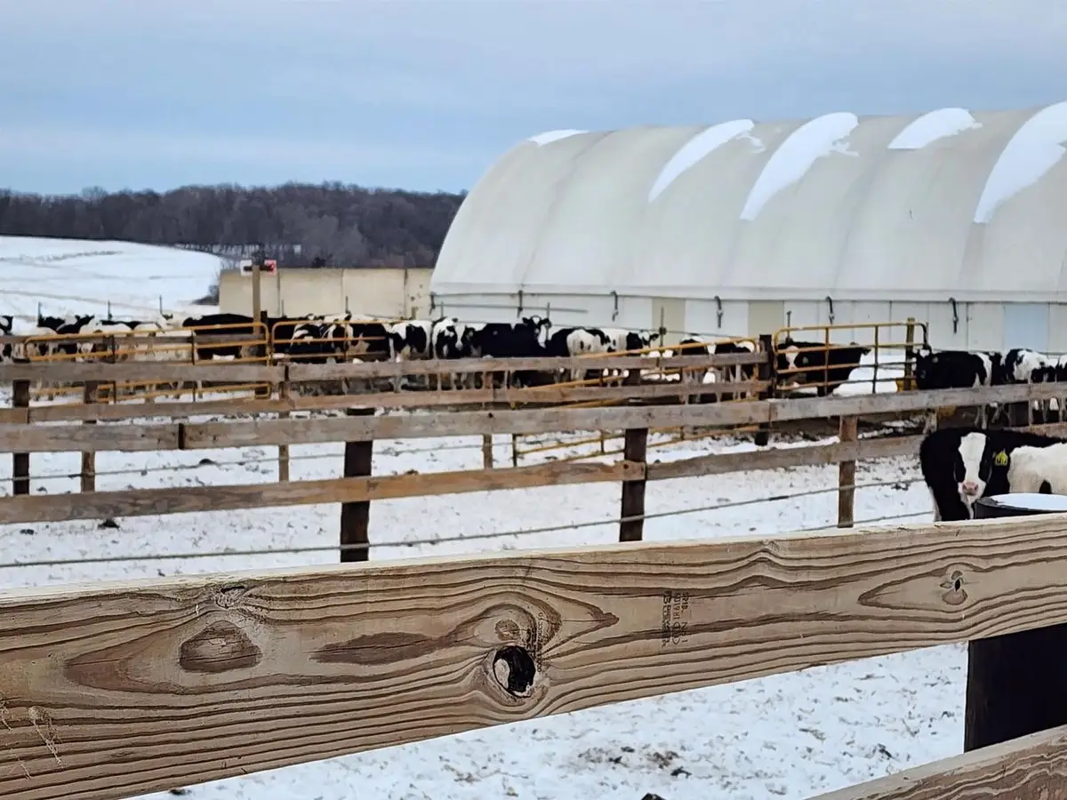 27495 205th Street, Garnavillo, IA 52049 - #1