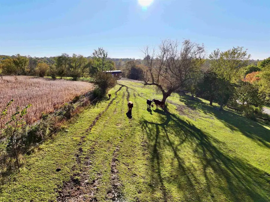 43.5 Ac County Road W, Hazel Green, WI 53811 - #2