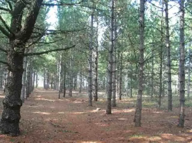 W4054 29th Street, Necedah, WI 54646 - Image #3