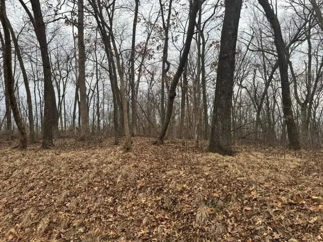 Lot 29 Hidden Meadow Lane, Blue River, WI 53518 - Image #2