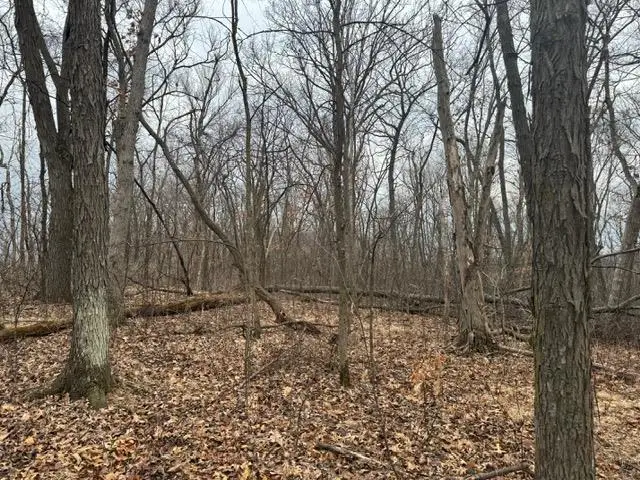 Lot 29 Hidden Meadow Lane, Blue River, WI 53518 - Image #3